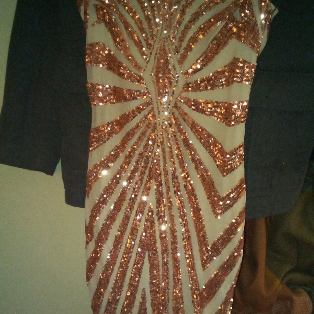 Fashion Nova dress